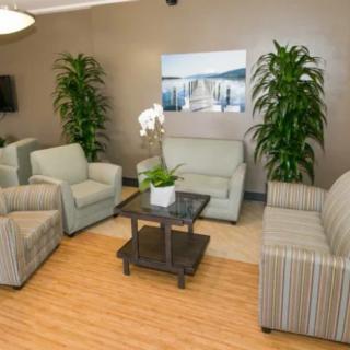 A cozy waiting room with comfortable sofas, chairs, and decorative plants.