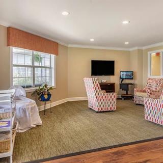 A cozy living room with patterned chairs and a television.