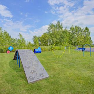 An outdoor dog agility training area featuring various equipment set against a backdrop of green grass and blue skies.