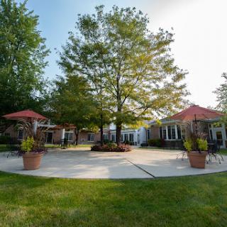 A serene outdoor space featuring a central tree and comfortable seating arrangements.