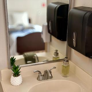 A neatly arranged bathroom sink area featuring a mirror, hand soap dispensers, and a small decorative plant.