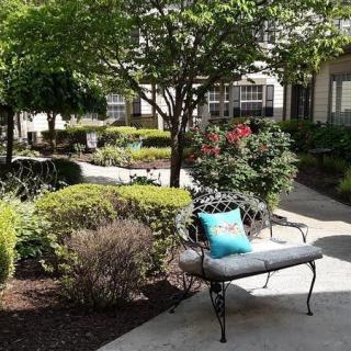 A serene garden with a bench and lush greenery.