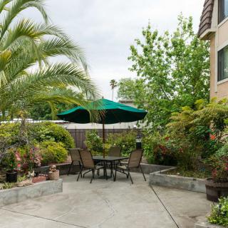 A tranquil garden patio with a table set and umbrella surrounded by lush greenery.