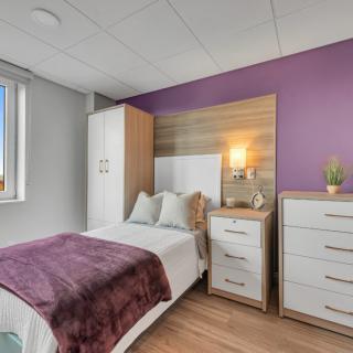 A modern bedroom featuring a single bed with purple accents, a nightstand with a lamp, and a dresser.