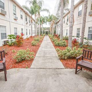 A landscaped courtyard with a central pathway and benches lined with palm trees.