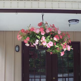 A hanging basket filled with pink flowers decorates the exterior of a building.