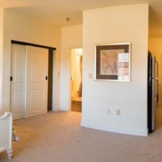 A spacious bedroom with a carpeted floor, sliding closet doors, and minimal furniture.