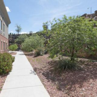 A sunny sidewalk bordered by trees and a building.