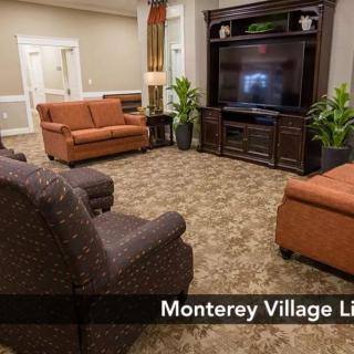 A cozy living room featuring a television, sofas, and decorative plants.