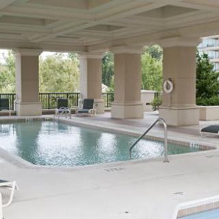 A luxurious indoor swimming pool with surrounding lounge chairs and greenery.