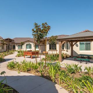 A sunny courtyard surrounded by buildings with landscaped gardens and pathways.