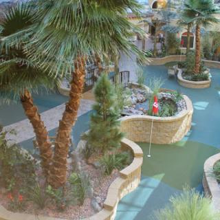 A serene garden view featuring lush palm trees and winding pathways.