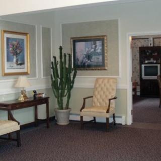 A cozy waiting room with chairs, a cactus, and paintings on the walls.