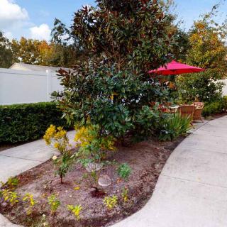 A landscaped garden with a curving pathway and a patio area shaded by a red umbrella.