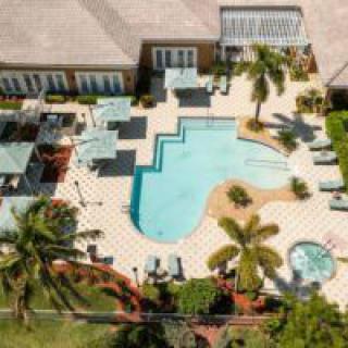 Aerial view of a residential outdoor area with a swimming pool and surrounding palm trees.