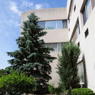 A modern building surrounded by lush greenery and trees under a clear blue sky.