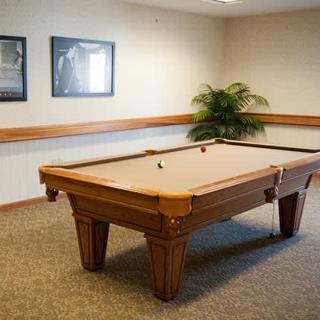 A game room featuring a billiards table with carpeted flooring and wall decorations.