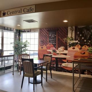 A cozy cafe interior with tables and chairs, adorned with plants and warm decor.
