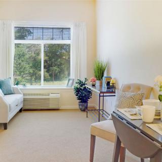 A bright and cozy living room with a sofa, table, chairs, and decorative plants near a large window.