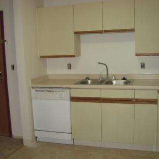 A simple kitchen setup with cabinets, a sink, and a dishwasher.