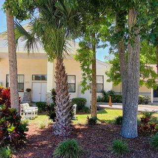 A charming house with a beautifully landscaped garden featuring palm trees and a sunny atmosphere.