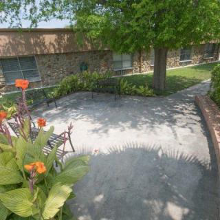 A peaceful outdoor garden area with a bench and vibrant flowers, surrounded by trees and a building.