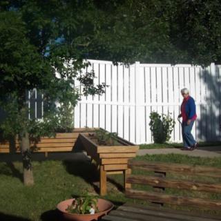 A person walking in a backyard garden with a white fence and greenery.