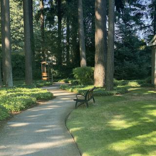A peaceful garden pathway surrounded by tall trees and greenery.