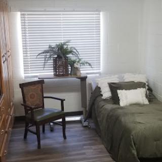 A cozy and simple bedroom featuring a bed, chair, and a touch of greenery.