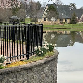 A serene view of a landscaped area featuring a pond, blooming flowers, and a peaceful reflection of a house.