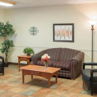 A cozy living room with a sofa, chairs, and a coffee table, decorated with indoor plants and wall art.