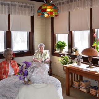 Two elderly people sitting in a cozy living room with plants and a lamp on the table.