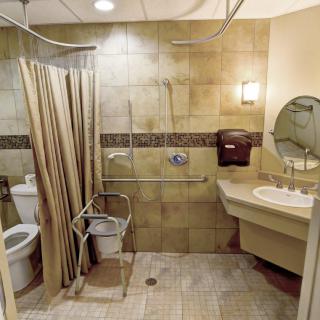 An accessible bathroom with a shower, sink, and toilet, featuring grab bars for support.