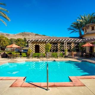 A sunny day at a luxurious resort with a clear blue swimming pool surrounded by palm trees and lounge chairs.