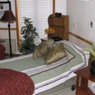 A cozy bedroom with a neatly made bed, decorative pillows, a lamp, and potted plants.
