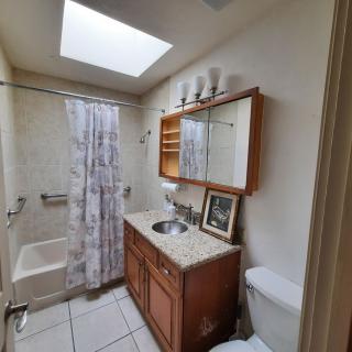 A cozy bathroom with a skylight, featuring a vanity with a mirror, a toilet, and a shower area with a curtain.