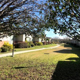 A serene walkway lined with trees in a residential area, ideal for leisurely strolls.