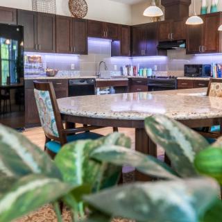 A modern kitchen interior with wooden cabinets and a large granite countertop, featuring decorative plants in the foreground.