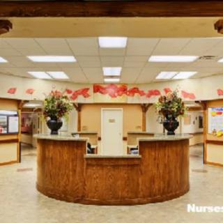 A well-decorated reception desk area with floral arrangements.