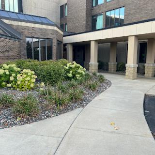 A well-maintained entrance to a building, featuring landscaped gardens and a smooth pathway.