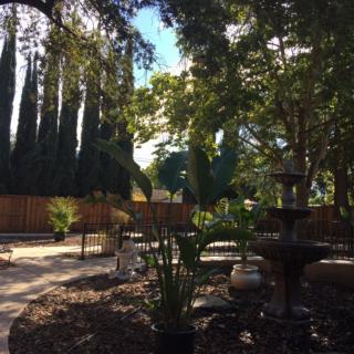 A peaceful garden with a pathway, surrounded by trees and featuring a central fountain.