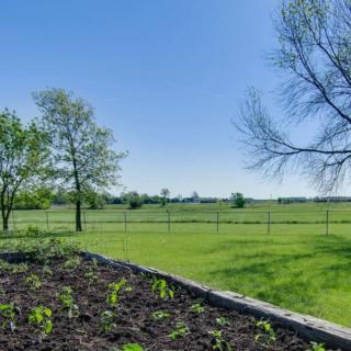 A serene landscape featuring a lush green lawn with trees and a garden bed under a clear blue sky.