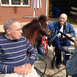 Elderly men interacting with a horse outdoors.