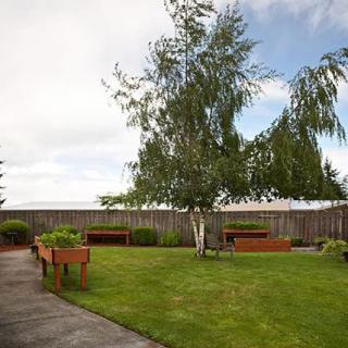 A serene garden area with a neatly manicured lawn, benches, and trees bordered by a wooden fence.