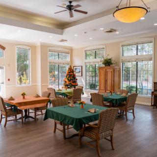 A bright and inviting dining area featuring tables and chairs arranged for communal dining, with a decorative tree in the corner.