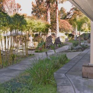 A scenic garden pathway surrounded by lush greenery and tall trees.