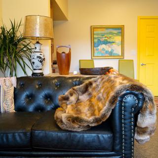 A cozy living room featuring a black leather sofa adorned with a fur throw, complemented by indoor plants and stylish decor.