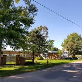 A peaceful suburban street lined with trees and homes under a clear blue sky.