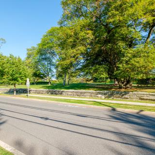 A peaceful street lined with lush green trees on a sunny day.