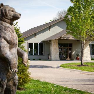 A bear statue stands guard outside a modern building surrounded by greenery.